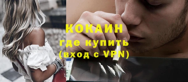 прущие грибы Балабаново