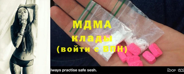 прущие грибы Балабаново