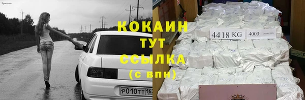 стаф Арсеньев