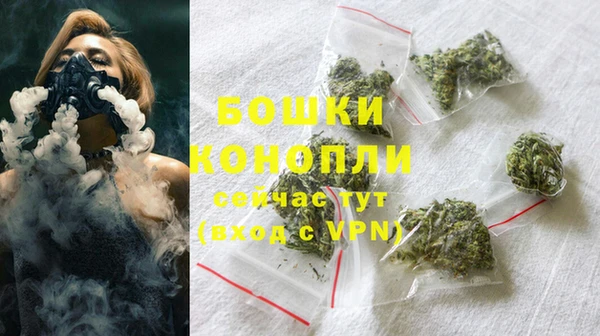 ешки Аркадак