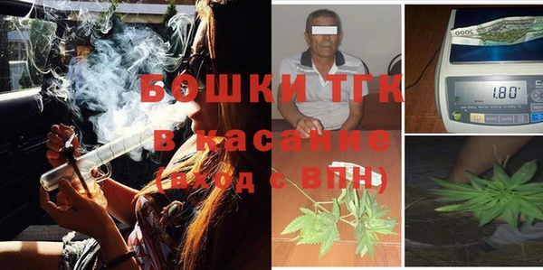 стаф Арсеньев