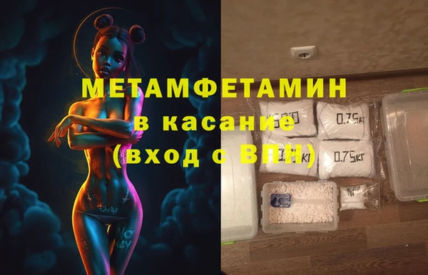 прущие грибы Балабаново