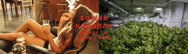 стаф Арсеньев