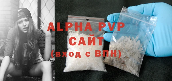 стаф Арсеньев